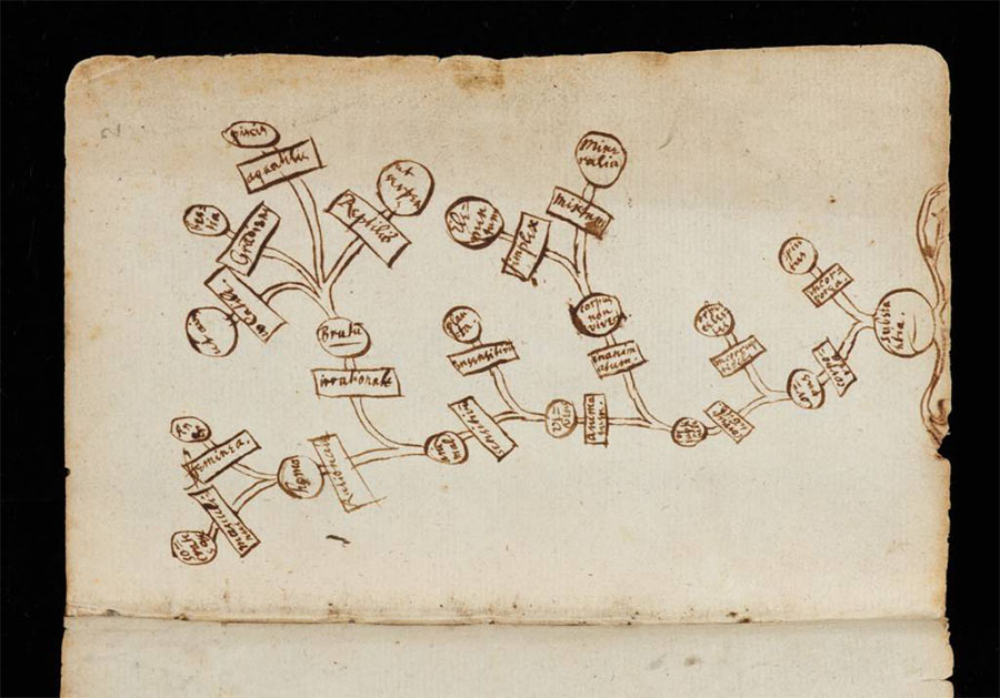Isaac Newton thinking in maps (Cambridge University Library)