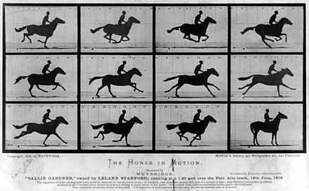 运动中的马, Muybridge (1886)