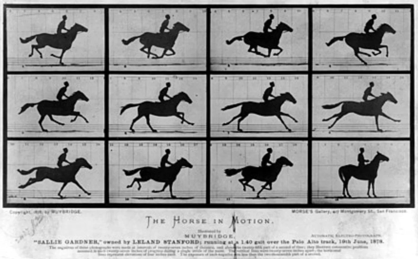 运动中的马, Muybridge (1886)